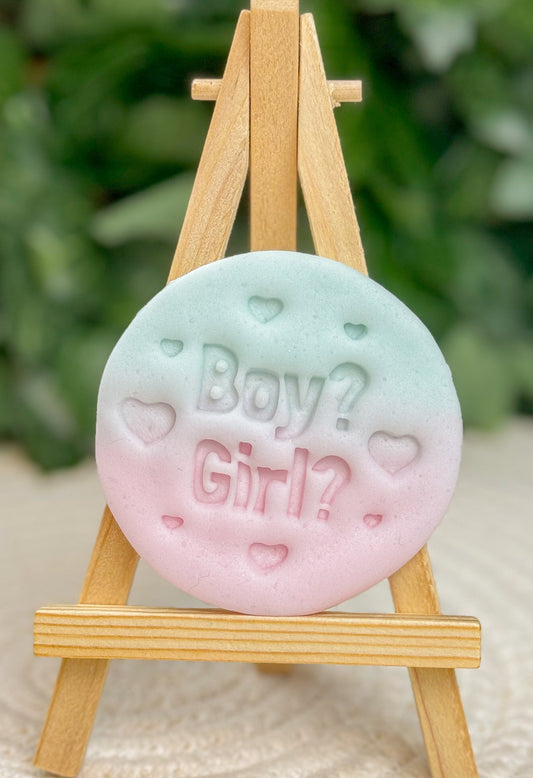 Gender Reveal Fondant Embosser Boy? Girl? Stamp - Parents Surprise Cookie Cutter -  Detailed Biscuit Press