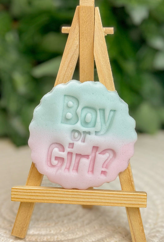 Gender Reveal Fondant Embosser Boy or Girl Stamp - Parents Surprise Cookie Cutter -  Detailed Biscuit Press